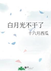 白月光总在修罗场 小说