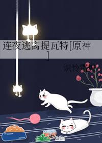 连夜逃离这座城市表情包