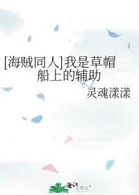 [海贼同人]我是草帽船上的辅助