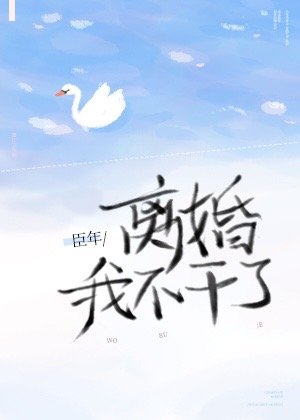 离婚!我不干了作者:臣年