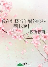 我在红楼当丫鬟的那些年快穿在红楼当丫鬟重