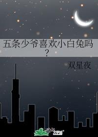 五条少爷喜欢小白兔吗?作者:双星夜