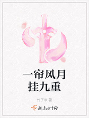 一帘风月挂九重起点