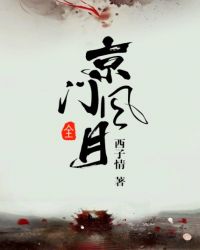 京门风月 西子情 小说