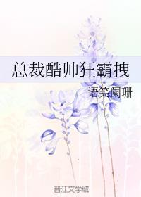 总裁酷帅狂霸拽讲的什么