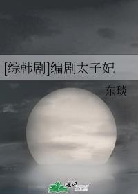 综韩剧编剧太子妃txt下载