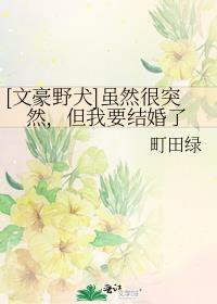 [文豪野犬]虽然很突然，但我要结婚了