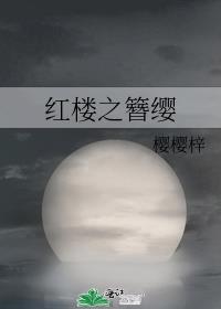 红楼梦簪子怎么回事